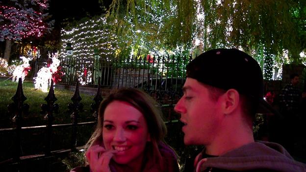 Married Life: Christmas Lights in Dyker Heights